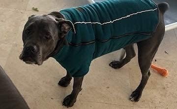 BoxDog Polar Fleece Warm Dog Jacket (Large)