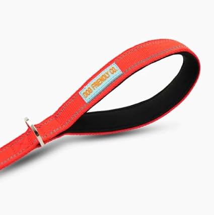 DF Co. Close Control Short Trainer Dog Leash | Strain Free & Shock Resistant, Durable Material, 65cm in Length, Heavy Duty Clips & D-Ring (Red, Regular)
