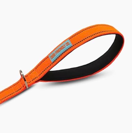 DF Co. Close Control Short Trainer Dog Leash | Strain Free & Shock Resistant, Durable Material, 65cm in Length, Heavy Duty Clips & D-Ring (Orange, Small)