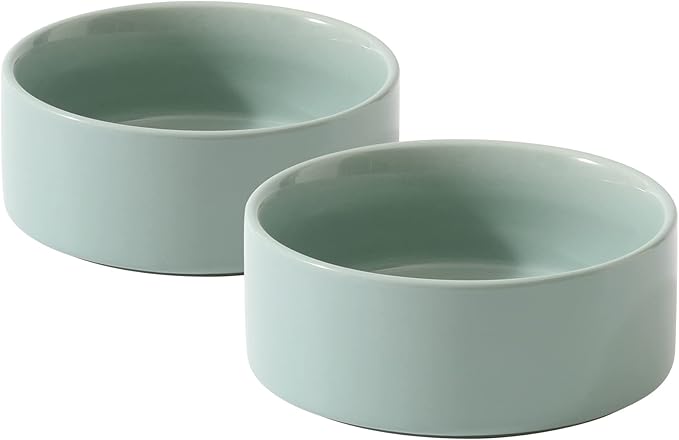 Havniva Ceramic Set of 2 Dog Bowls, Food and Water Bowls for Dogs, Puppy, 2pcs Dog Dishes, Pet Feeder(6inch, 2 x Light Green Bowls)