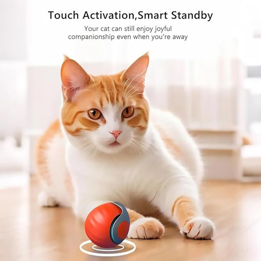 Pamerco Automatic Cat Ball Toy with 2 Feather Tails - Rechargeable Interactive Cat Toys, 2-Speed Motion Activated Roller for Indoor Cats to Relieve Boredom (Small/Medium/Large Cats) (Blue)