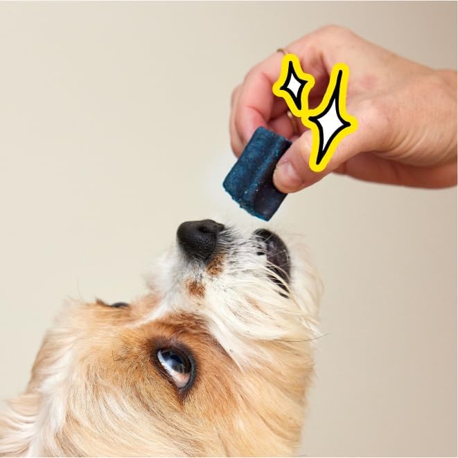 Spot & Tango PupGum Dog Dental Chews for Fresh Breath & Clean Teeth – Clinically Proven Plaque Control – Human-Grade, Vet-Developed Daily Dental Treats for Dogs 16-40lbs – 14 Chews – Made in USA