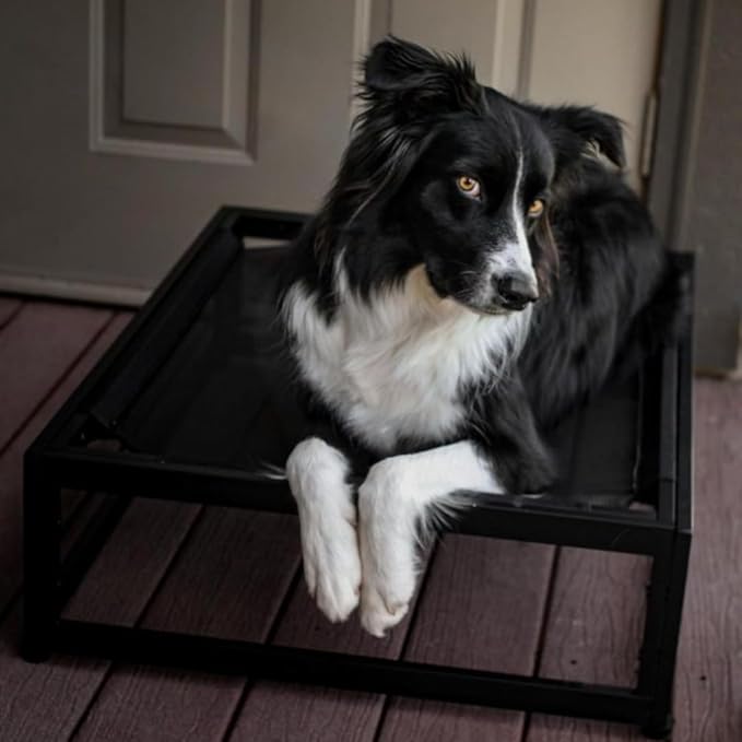 FUZI Luxury Up Pup Elevated Dog Bed, Premium Indoor & Outdoor Raised Pet Bed, Chew-Proof & Durable, Breathable Design for Comfort & Support, Dog Cot Small 26x17x8 Black