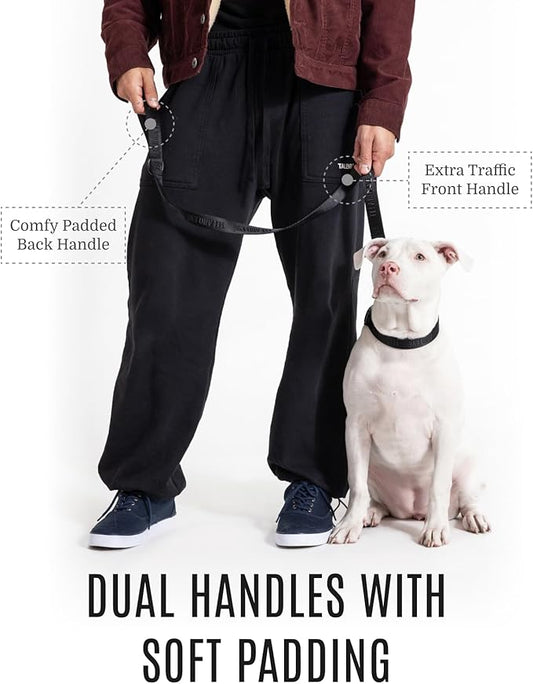 2025 New Edition, Fei & Eve Classic Dog Leash - 4FT - for Small/Medium/Large Dogs, Sable