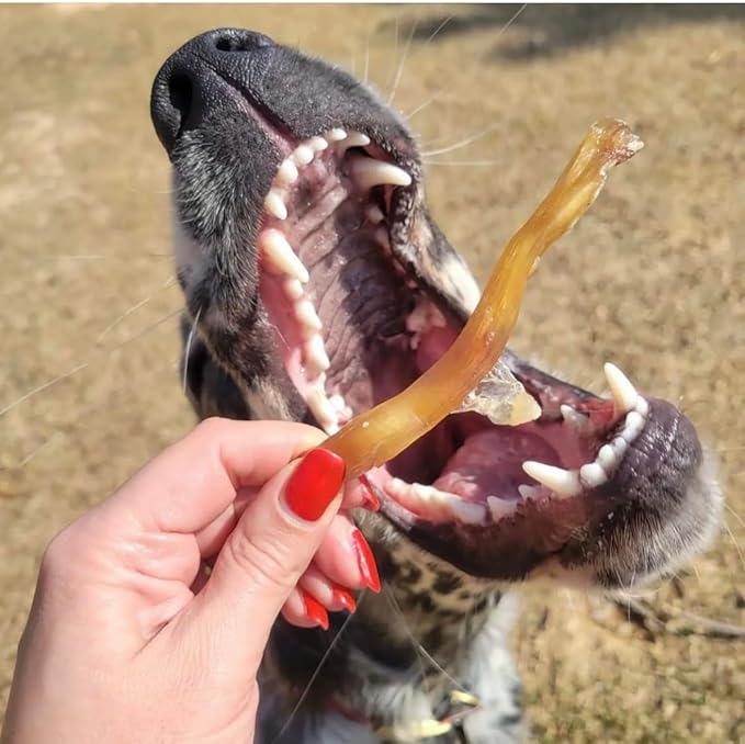 Beef Tendons for Dogs Made in USA. 6-10 Inch Grass Fed Farm-Raised American Beef Dog Treats. All Natural Dog Dental Chews. Grain Free Odor-Free Chews 5 Count