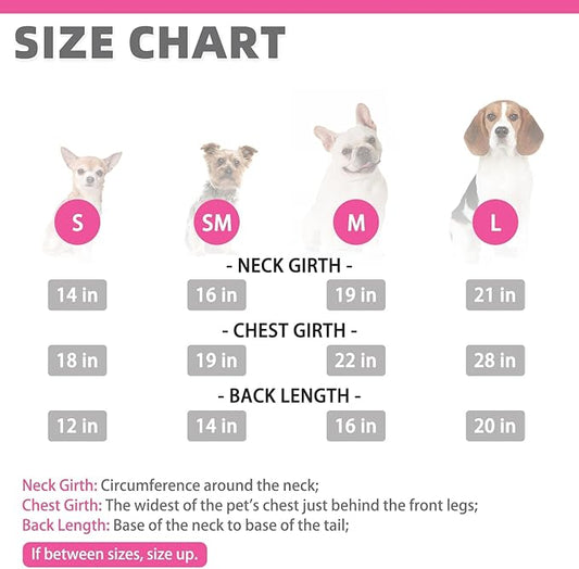 KOOLTAIL Warm Dog Winter Coat for Small Dogs, Waterproof Puppy Jacket with Leash Hole, Cold Weather Pet Vest for Winter, Soft Hoodie Sweater Sweatshirt Clothes for Puppy Cats Girls Boys Rose Red S