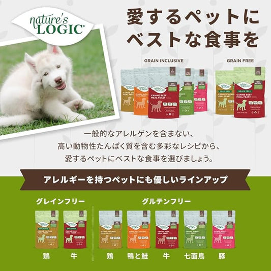 NATURE'S LOGIC Dry Dog Food - 100% Natural - No Synthetics - for All Ages, Sizes, Breeds - Free from Common Allergens, High Protein - Pork Meal Feast, 4.4lbs