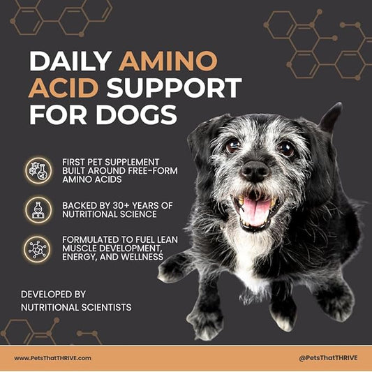 Thrive Daily Amino Acids for Dogs – Muscle Health, Recovery, Energy & Longevity – Supports Joints, Skin & Coat – Peanut Butter Soft Chews, 30 Count (4.8oz)