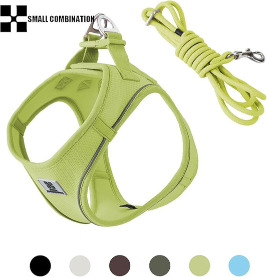 Adjustable Dog Harness with Leash, Reflective Mesh, No-Pull Design,Matching Lead Rope (Lemon Yellow, XXXS)