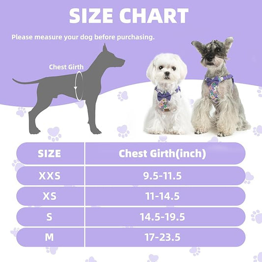 PUPTECK Dog Harness and Leash Set Small Sized, Step-in Cute Puppy Harness, Soft Lightweight Padded Vest, Escape Proof No Pull Pet Harnesses Easy for Walking, Flower Purple, XS