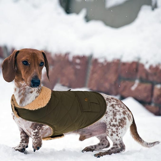 Queenmore Warm Dog Coat, Cold Weather Puffer Dog Coat, Quilting Winter Dog Jacket Ultra Thick Plush Lining with Storage Pockets (Green, Small)