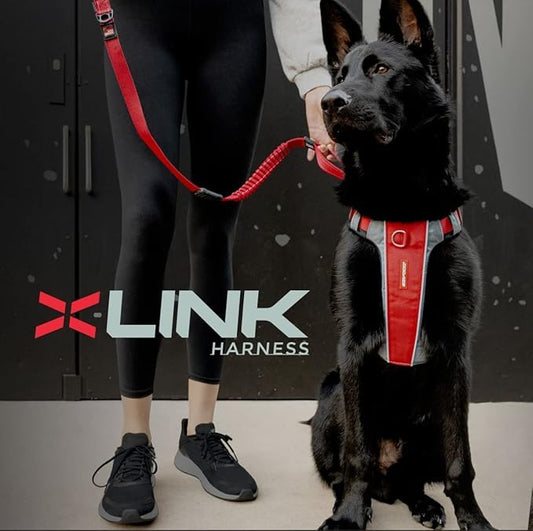 EzyDog X-Link Dog Harness – Reflective and Padded No Pull Dog Harness for Training and Everyday Walks with 2 Leash Attachment Points (X-Large, Black)