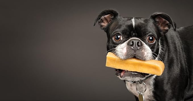 peaksNpaws Himalayan Yak Chews, High Protein Cheese Sticks, Lactose Free, Natural, Long Lasting Dog Treat for Aggressive Chewers Under 15 lbs, 4 Small Treat Sticks, 100% Eco-Friendly Packaging