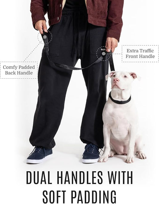 2025 New Edition, Fei & Eve Classic Dog Leash - 6FT, Dual Padded Handles, 360° Swivel Hook, Heavy Duty 210D Nylon - No-Pull Design with Traffic Control Handle - for Small/Medium/Large Dogs, Black