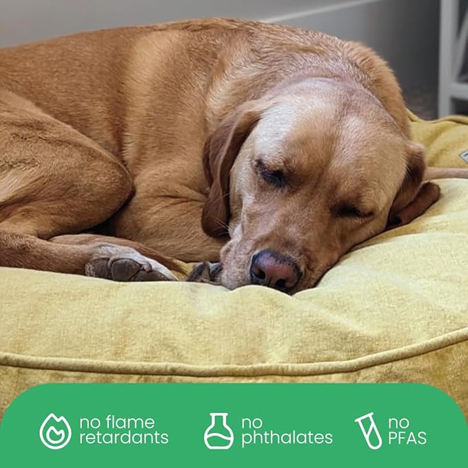 Molly Mutt Elysium Dog Bed Duvet Cover, GOTS-Certified 100% Cotton Canvas Cover for Dog, Puppy, or Cat Bed, Durable, Washable, and Free of Harmful Chemicals, Huge, 36"x45"x5", Yellow