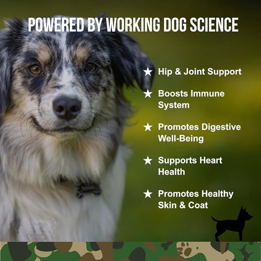 Operation Good Boy 10-in-1 Multivitamin Supplement for Dogs, Glucosamine, Probiotics, Omegas, Enzymes, & Vitamins – 90 Soft Treats, Natural Ingredients, Veteran Owned, Beef Flavored
