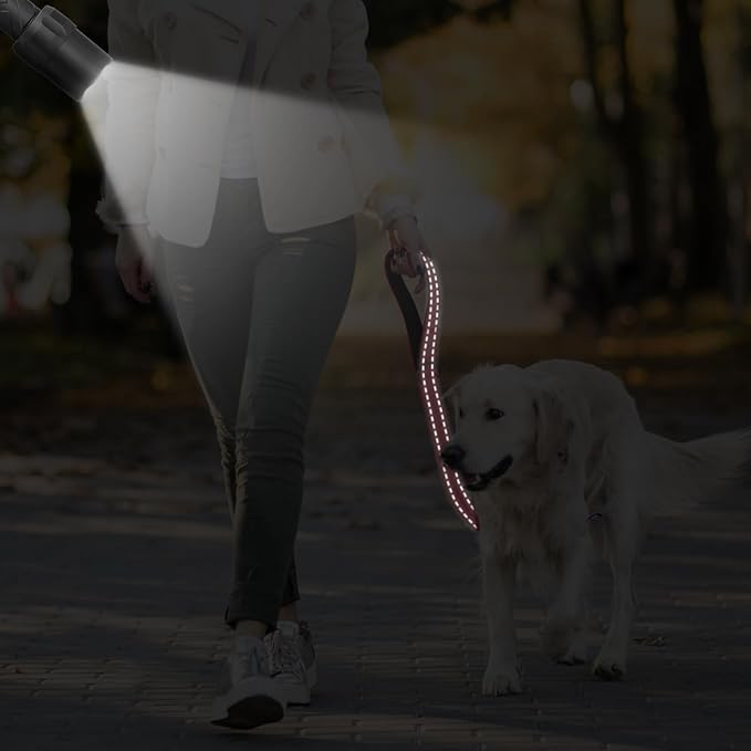 Dog Leash, Short Dog Leash, Leashes for Large Breed Dogs,Traffic Padded Handle- Reflective Training Lead, Perfect for Medium to Large Dogs(24 Inch, Red)
