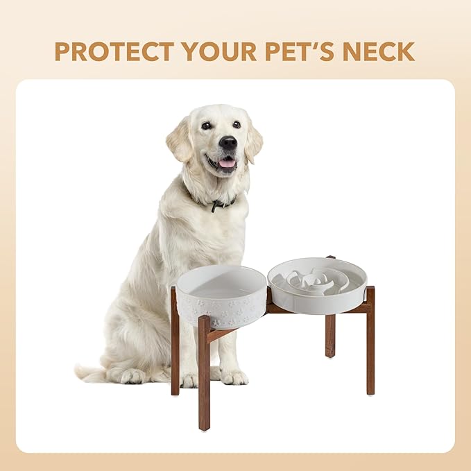 Ceramic Raised Slow Feeder Dog Bowl Set, Elevated 8.2inch Bowl and 9.5inch Dish with Acacia Wood Stand for Large Dog, Stop Bloat(2 x Reactived Glaze -White+ Stand)
