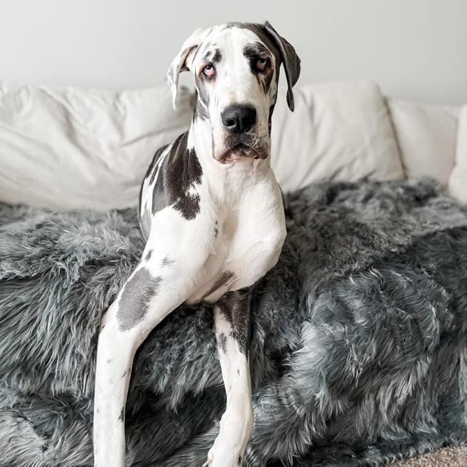PupProtector Waterproof Throw Blanket for Dogs and Cats, Pet Blanket Cover for Couches, Sofas, Beds, Car Seats, Furniture, Calming Soft Faux Fur, Charcoal Grey, Original (60" L x 50" W)