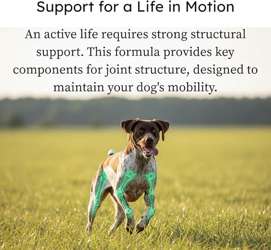 PetCultures Hip & Joint Tribiotic Dog Supplement Powder – Glucosamine, Chondroitin, MSM, and Gut-Joint Axis Support (10)
