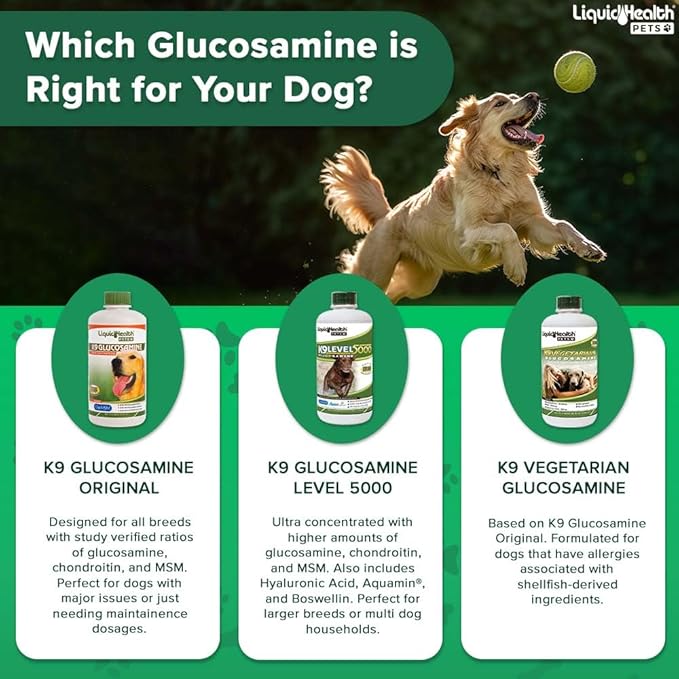 LIQUIDHEALTH Pets K9 Liquid Glucosamine for Dogs, Puppies, Senior Canines with Chondroitin, MSM, Hyaluronic Acid - Dog Vitamins for Hip Joint Health, Dog Joint Oil, Joint Juice - Made in USA (3 Pack)