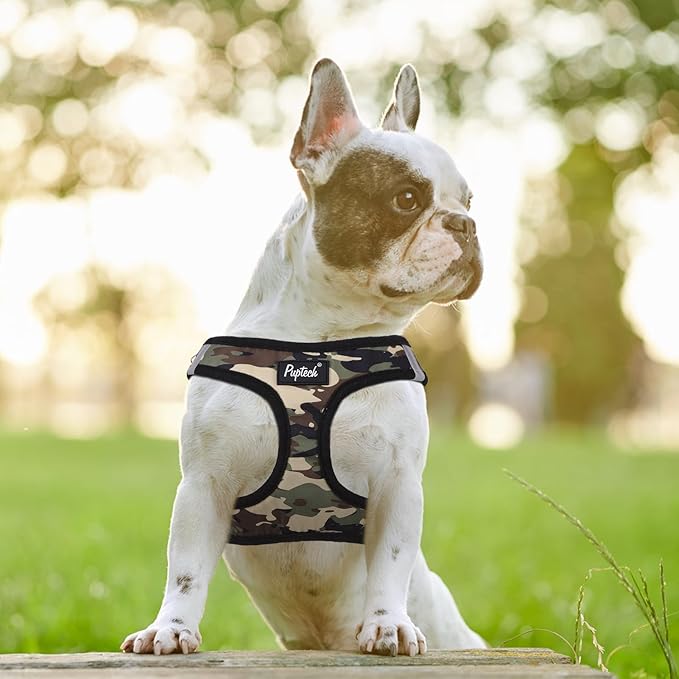 PUPTECK Dog Harness and Leash Set for Small Medium Dogs No Pull Step-in Soft Mesh Puppy Cat Vest Harnesses Reflective at Night, Camouflage, M