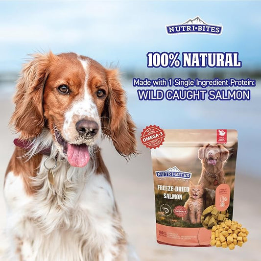 Nutri Bites Freeze Dried Salmon Dog & Cat Treats 4 oz | Healthy Pet Training Treats or Food Topper | All Natural, 1 Single Animal Protein, High Protein