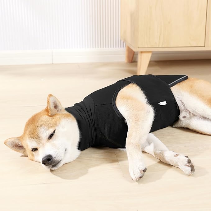 ROZKITCH Soft Dog Anxiety Jacket, Breathable Calming Vest for Storms, Fireworks & Separation, High Collar Design for Small to Large Dogs Black XS