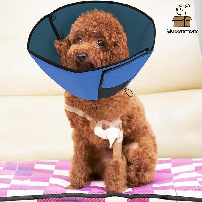 Queenmore Dog Cones for Small Dogs, Soft Cone for Dogs After Surgery, Adjustable Comfy Cone for Dogs & Cats, Comfortable Pet Cone After Surgery for Wound Healing, Blue S