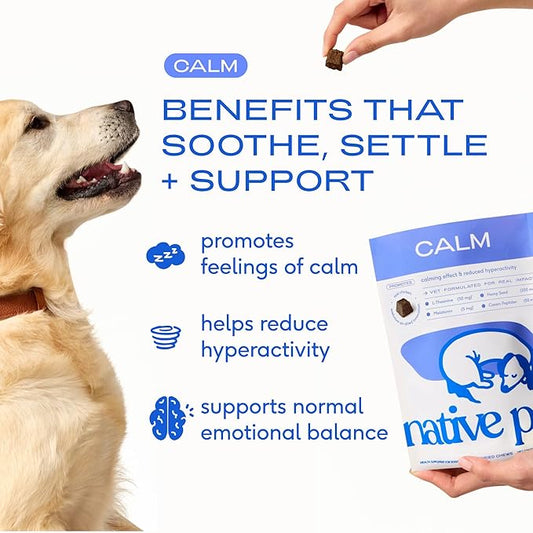 Native Pet Calming Chews for Dogs - Melatonin for Dogs Anxiety Relief - Grain Free All Natural Hemp Calming Treats & L-Theanine Helps Manage Stress & Separation Anxiety - Puppy Sleep Aid - 90 Chews