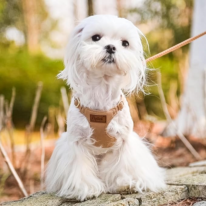 PUPTECK Dog Harness and Leash Set Small Sized, Step-in Cute Puppy Harness, Soft Lightweight Padded Vest, Escape Proof No Pull Pet Harnesses Easy for Walking, Khaki, XXS