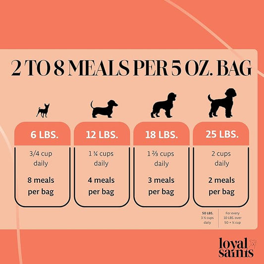 Freeze Dried Raw Dog Food - Premium Turkey and Salmon Flavor with High Protein and Grain Free Dog Food for All Breeds and Picky Eaters - Versatile as Meal Topper, Snack, and Treats, 14 Oz