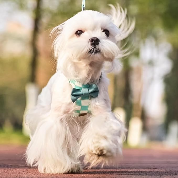 PUPTECK Dog Harness and Leash Set Small Sized, Step-in Cute Puppy Harness, Soft Lightweight Padded Vest, Escape Proof No Pull Pet Harnesses Easy for Walking, Plaid Green & White, XXS