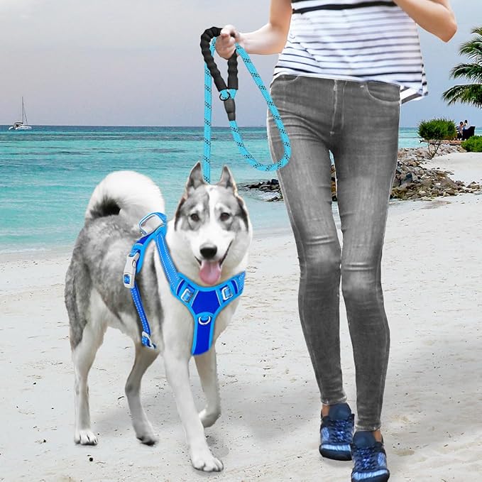 BARKBAY No Pull Dog Harness Large Reflective Dog Harness with Front Clip and Easy Control Handle for Walking Training Running with ID tag Pocket(Sapphire Blue & Blue,XL)