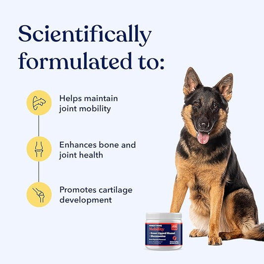 Honest Paws Glucosamine for Dogs – Joint & Mobility Supplement Powder with Green Lipped Mussel, Fish Oil & MSM – Supports Hip & Joint Health, Support Stiffness, Dog Supplies