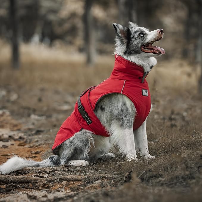 OneTigris Dog Coat Waterproof Dog Jacket with Adjustable Buckle Hook & Loop Windproof Cold Weather Coats for Small Medium Large Dogs (Red, Medium)