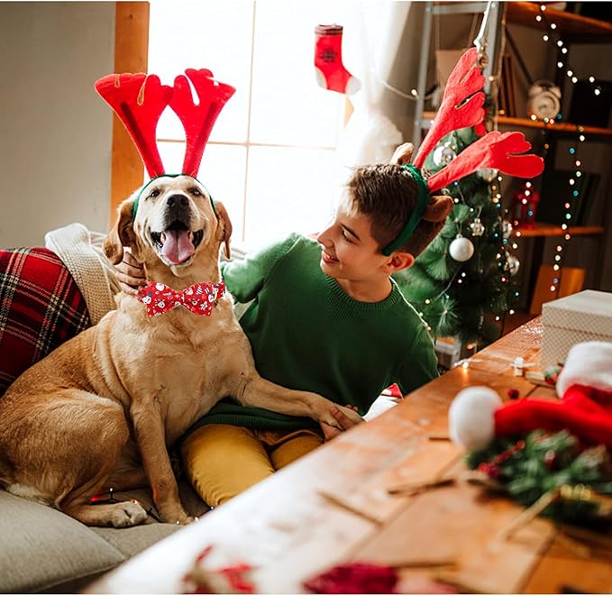 Lionheart Glory Christmas Dog Collar - Santa Print Bow Tie Collar for Small Dogs