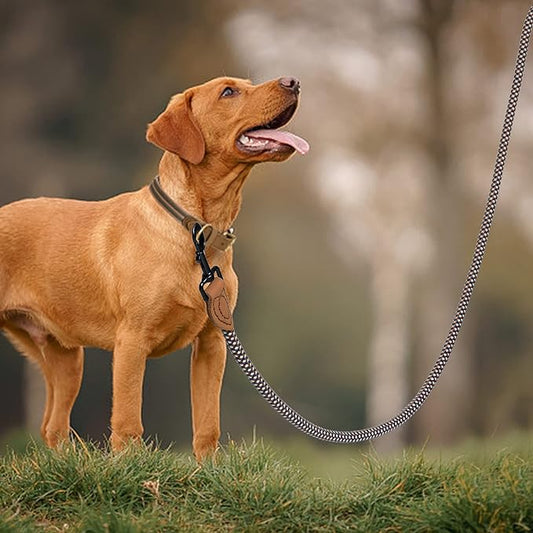 Mile High Life Rope Leash with Genuine Leather Connection, 6 FT/5 FT/4 FT, Heavy Duty Leash for Medium & Large Dogs (Brown, 48 Inch)