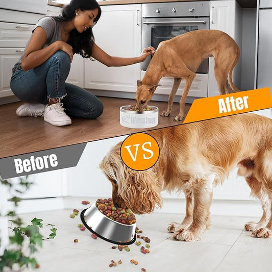 Custom Personalized Dog & Cat Bowls - Stainless Steel Non-Slip Water & Food Dishes - Easy to Clean, Dishwasher Safe - Small, Medium, Large Sizes (White)