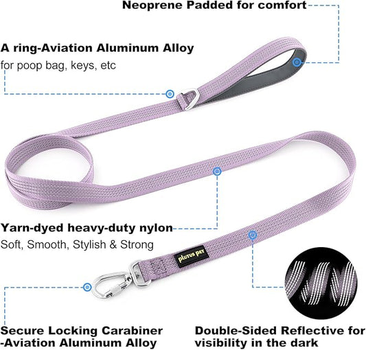 Plutus Pet Heavy Duty Dog Leash with Lockable Aluminum Carabiner, 4/6 Feet Long, Double-Sided Reflective Nylon, Padded Handle, for Puppy, Small, Medium and Large Dogs (Lilac Purple, 4/5" x 4')