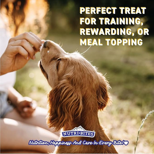 Nutri Bites Freeze Dried Salmon Dog & Cat Treats | Healthy Pet Training Treats or Food Topper | All Natural, 1 Single Animal Protein, High Protein | Premium Bulk Value Pack, 14 oz