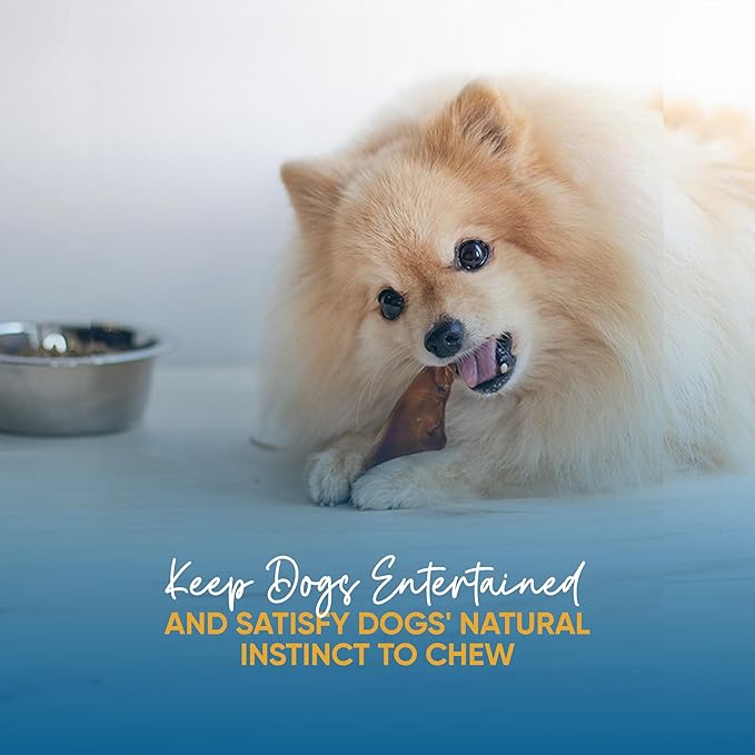 123 Treats Natural Pig Ears for Dogs, 100% Natural Long Lasting Pork Dog Chews, Ideal for All Chewers, Delicious and Healthy Dog Treats, Pig Ears Large and Mix (one Pack of 100)
