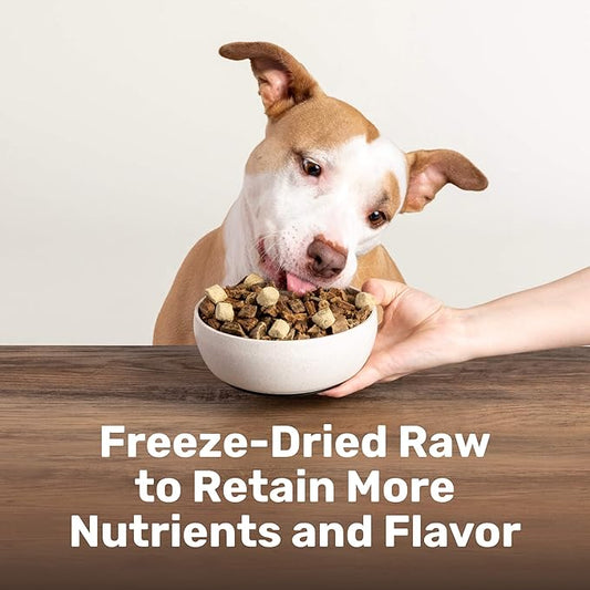 BADLANDS RANCH Superfood Nuggets – Freeze-Dried Raw Dog Treat & Food Topper, Nutrient-Dense Beef Tripe & Kale Formula, High Protein, No Artificial Additives, 8oz Bag