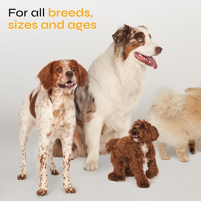 Flea and Tick Prevention for Dogs - Dog Flea Treatment Chews - Immune Support Flea and Tick Chewables for Dogs - Dog Flea & Tick Control Supplement - All Breeds & Ages - Vet Formulated - Soft Treats
