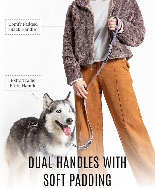2025 New Edition, Fei & Eve Classic Dog Leash - 6FT, Dual Padded Handles, 360° Swivel Hook, Heavy Duty 210D Nylon - No-Pull Design with Traffic Control Handle - for Small/Medium/Large Dogs, Gray