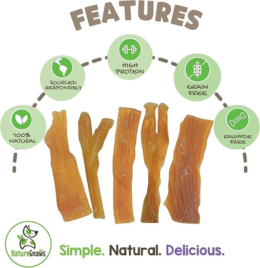 Nature Gnaws Beef Tendons for Dogs (1Lb) - Mixed Thickness - Long Lasting for Small and Medium Dogs - Natural Beef Jerky Dog Chew Bones - Rawhide Free