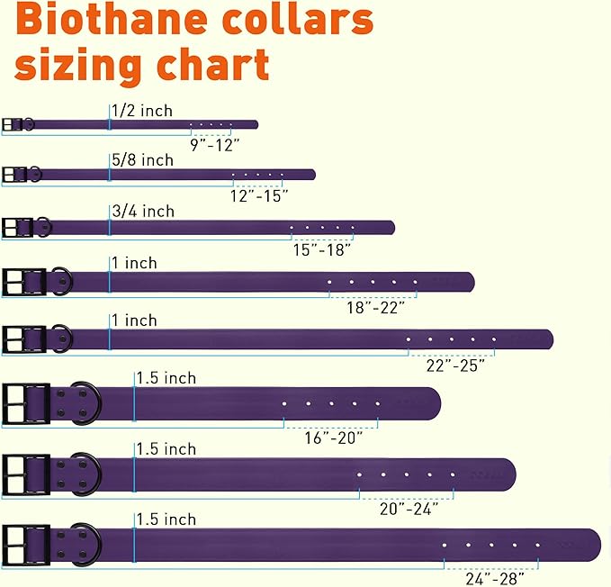 Dogline Biothane Coated Webbing Dog Collar with Black Metal Hardware: Durable Easy-Clean Everyday Collar for Dogs - Comfortable Adjustable Odor-Resistant Pet Collar, W1.5 x L16-20", Violet Purple