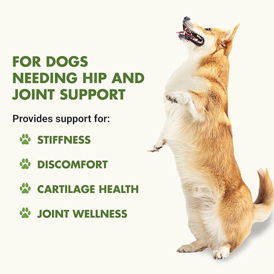 Liquid-Vet K9 Hip & Joint Advanced Formula, Chicken Flavor, 8 oz Bogo Trial Pack