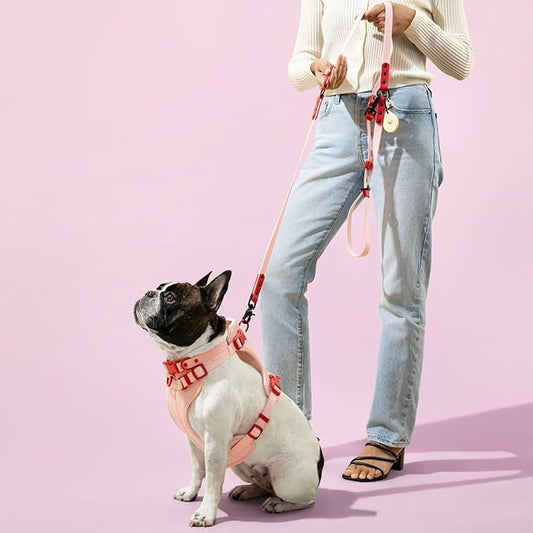 HNS1001G Arlo Small Adjustable Soft Padded No Pull Pet Harness with 3 Buckles and 3 Leash Clips, Paloma