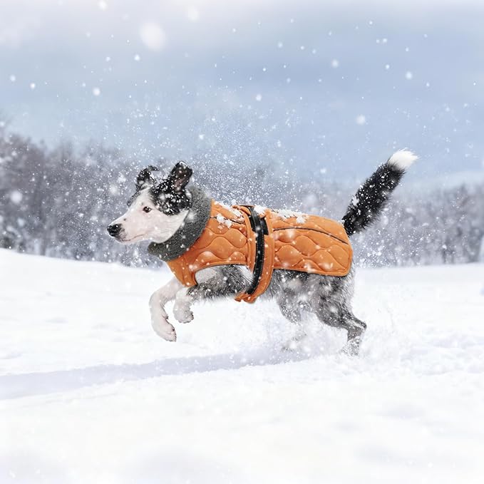 Dog Winter Jacket, Adjustable Water-Resistant Dog Warm Coat with Fleece Lining, Windproof Cold Weather Coats for Winter, Reflective Snow Jacket for Labrador Golden Retriever, NewOrange XL